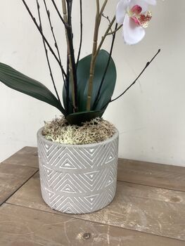 White Mini Artificial Silk Orchid Flower Arrangement Mothers Day Gift, 3 of 6