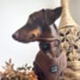 Coffee Bean Brown Cord Puppy Dog Harness Xs L, thumbnail 8 of 11