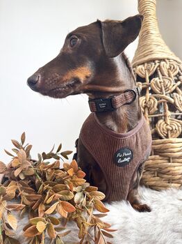 Coffee Bean Brown Cord Puppy Dog Harness Xs L, 8 of 11