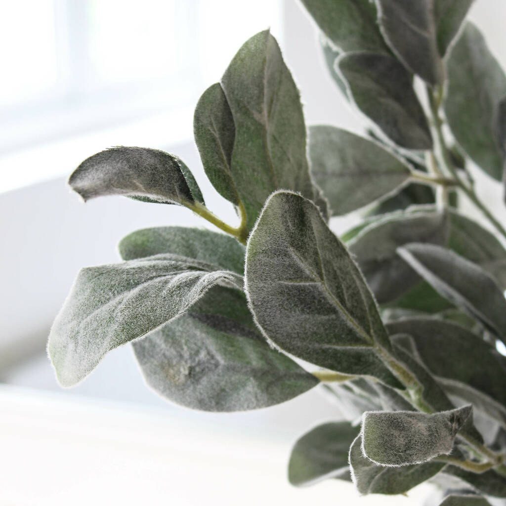 bunch of faux lambs ear stems by marquis & dawe