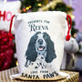 Hand Drawn Dog Christmas Present Sack Personalised, thumbnail 7 of 9