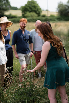 South Downs Wild Foraging Workshop And Afternoon Tea For Two, 7 of 12