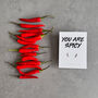You Are Spicy Silver Chilli Stud Earrings, thumbnail 1 of 7