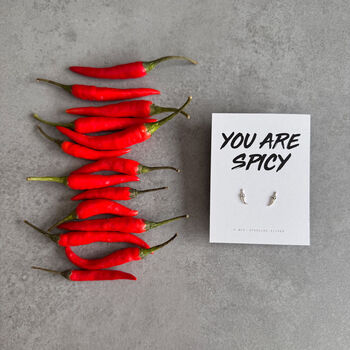 You Are Spicy Silver Chilli Stud Earrings, 2 of 7
