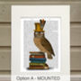 Owl On Books, Book Print, Framed Or Unframed, thumbnail 2 of 7