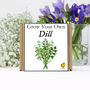 Gardening Gift. Grow Your Own Herbs. Dill Seeds Kit, thumbnail 2 of 4