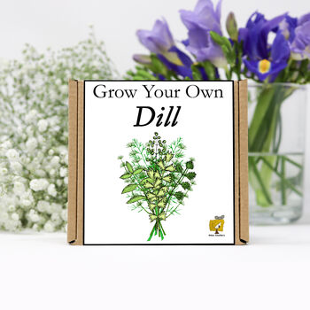 Gardening Gift. Grow Your Own Herbs. Dill Seeds Kit, 2 of 4