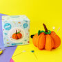 'Cute Pumpkin' Pin Cushion Craft Kit, thumbnail 2 of 3