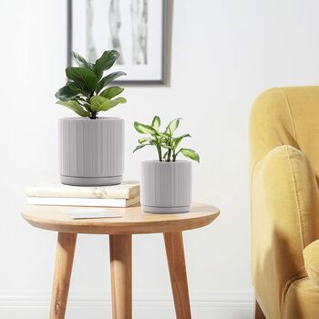 Pack Of Two Ceramic Pots Planters With Saucers, 3 of 4