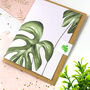 Monstera Variegata Card, thumbnail 1 of 9