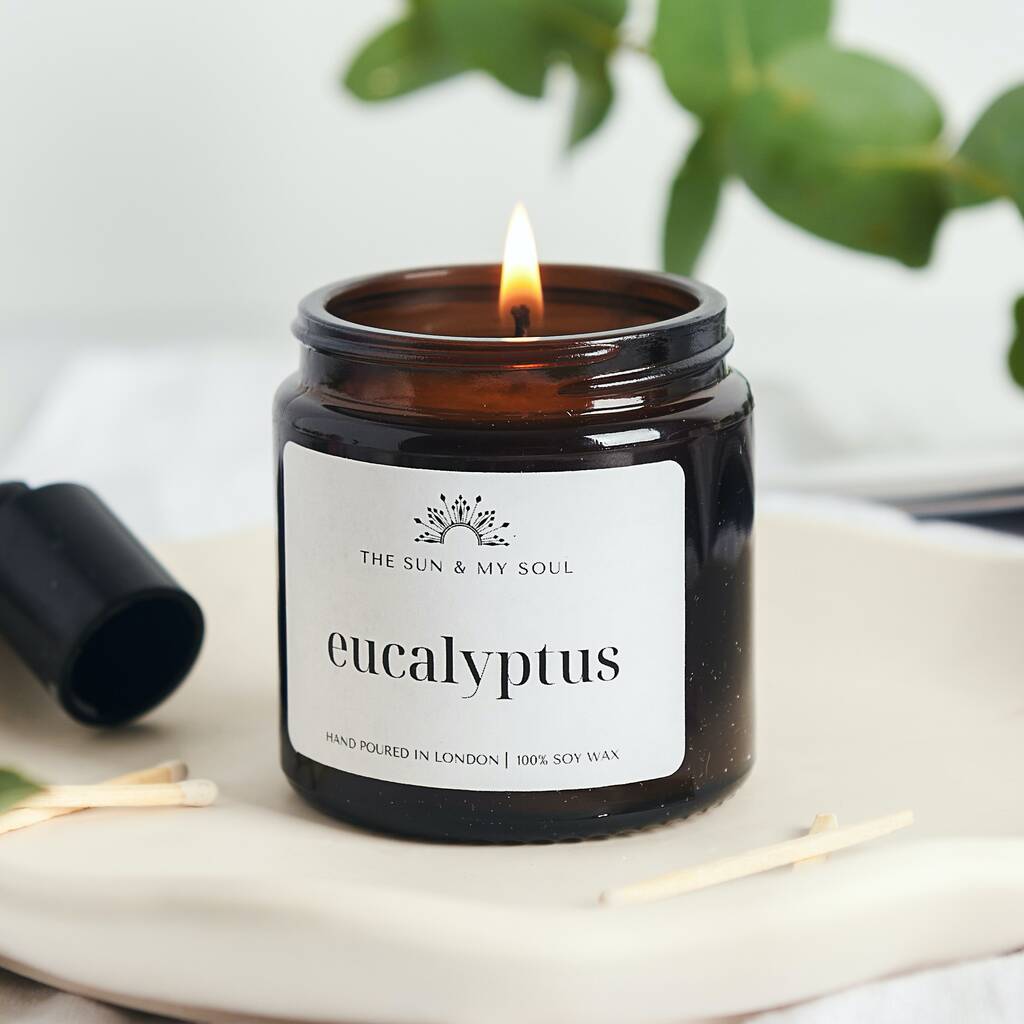 Eucalyptus Scented Premium Soy Wax Candle Gift By The Sun & My Soul