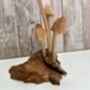 Dragonfly And Toadstool Mushroom Driftwood Statue Ornament Woodland Gift, thumbnail 8 of 8