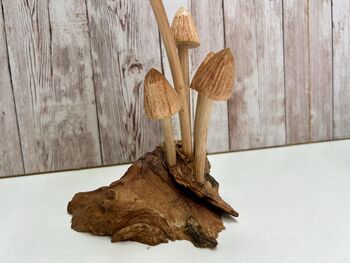 Dragonfly And Toadstool Mushroom Driftwood Statue Ornament Woodland Gift, 8 of 8