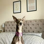Whippet Personalised Wall Art, thumbnail 4 of 10
