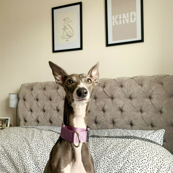 Whippet Personalised Wall Art, 4 of 10