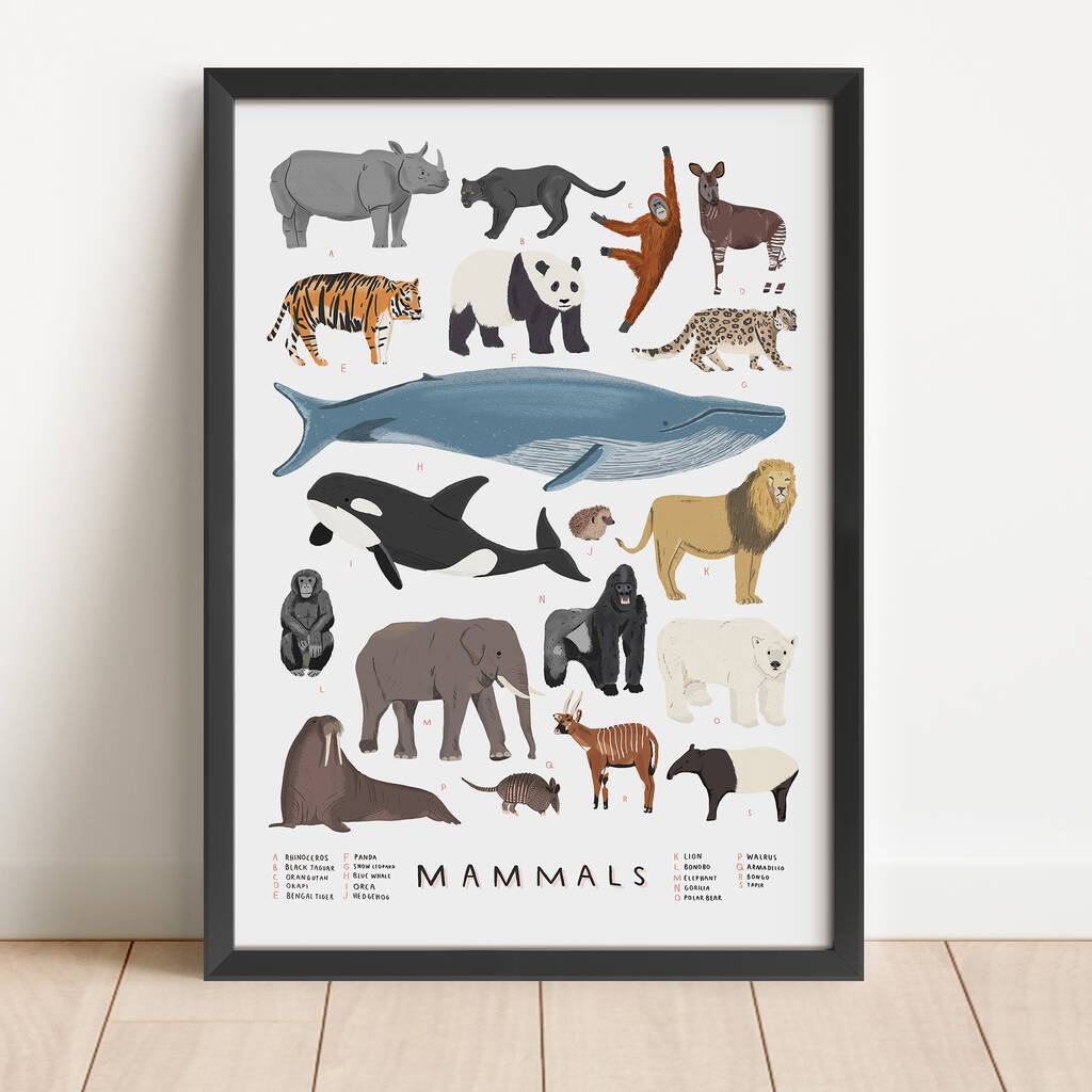 Personalised Mammals Print, 1 of 7