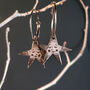 Silver And Black Star Earrings, thumbnail 1 of 3