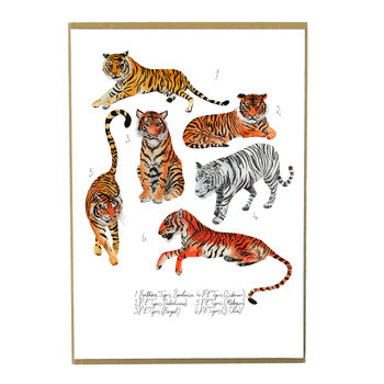 Streak Of Tigers Art Print, 4 of 6