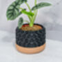 Carbon Transform Planter, thumbnail 4 of 4