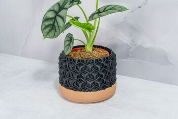 Carbon Transform Planter, 4 of 4