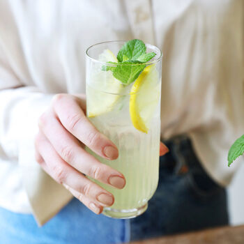 Limoncello Fizz Cocktail Kit, 8 of 11