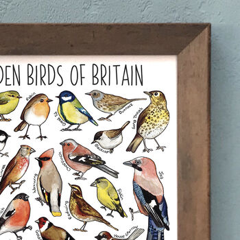 Garden Birds Of Britain Wildlife Watercolour Print, 5 of 8