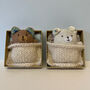 Bear Hug In A Box, thumbnail 1 of 4