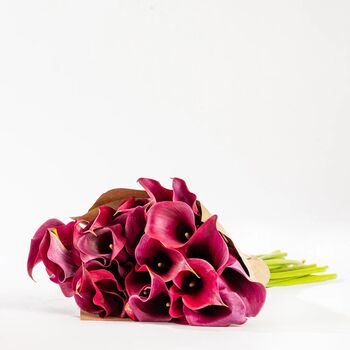 Raspberry Pink Calla Lily Fresh Flower Bouquet, 3 of 3