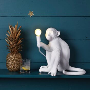 White Monkey Light, 5 of 7