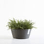Ecopots Frankfurt Planter Made From Recycled Plastic, thumbnail 1 of 3