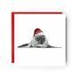 Ara The Seal Festive Christmas Hat Greeting Card, thumbnail 1 of 4