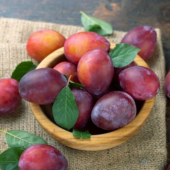 Plum Victoria Fruit Trees Bare Rooted Plant, 4 of 5