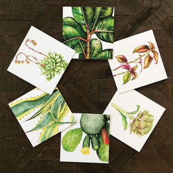 Mixed Botanicals Greetings Card Pack One, 2 of 8