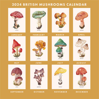 British Mushrooms 2024 Month To A Page Wall Calendar, 2 of 11