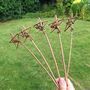 Eco Friendly Handmade Childrens Willow Wands, thumbnail 3 of 5