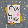 Panda Birthday Card, thumbnail 1 of 2