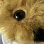 Traditional Personalised Teddy Bear, thumbnail 2 of 3