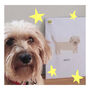 Personalised Illustrated Pet Portrait, thumbnail 5 of 12