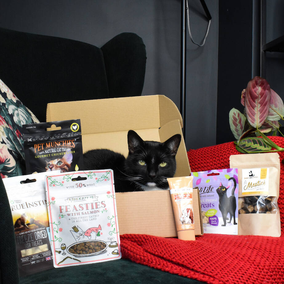 Treat Box Luxury Cat Hamper By Boop & Floof