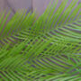 120cm Artificial Hanging Palm Leaf Plant, thumbnail 4 of 6