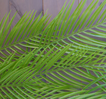 120cm Artificial Hanging Palm Leaf Plant, 4 of 6