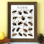 Bees Of Britain Wildlife Watercolour Print, thumbnail 1 of 6