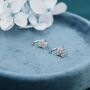 Uncoloured Forget Me Not Flower Cz Huggie Hoop Earrings, thumbnail 6 of 11