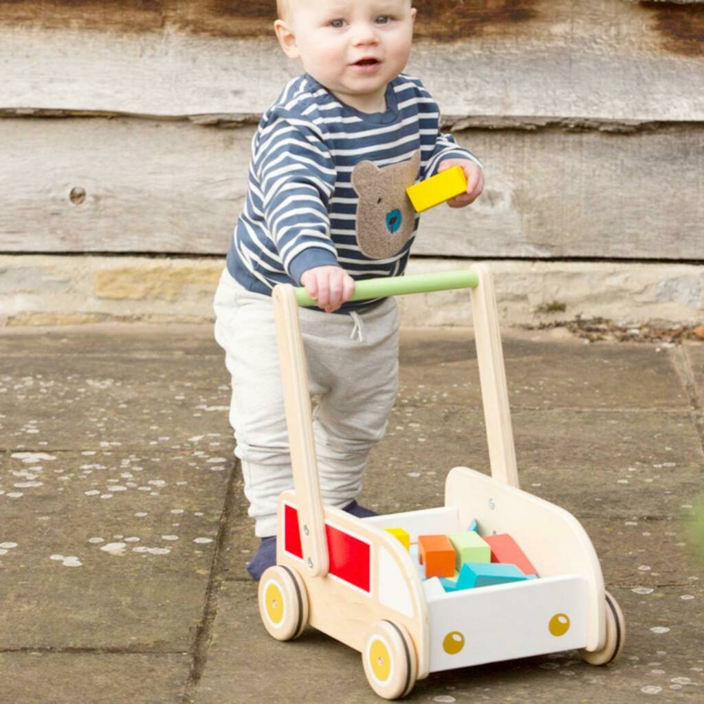 Wooden Baby Walker And Blocks