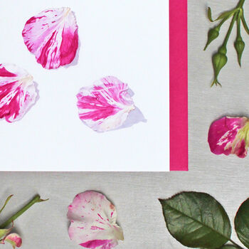 Card With Rose Petals Illustrations, 3 of 3