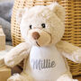 Personalised Soft Toy Teddy Bear Gift For Kids, thumbnail 2 of 4