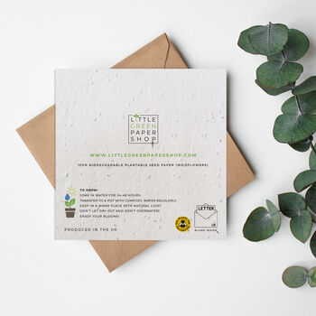 Sorry You're Leafing Plantable Seed Paper Card, 2 of 2