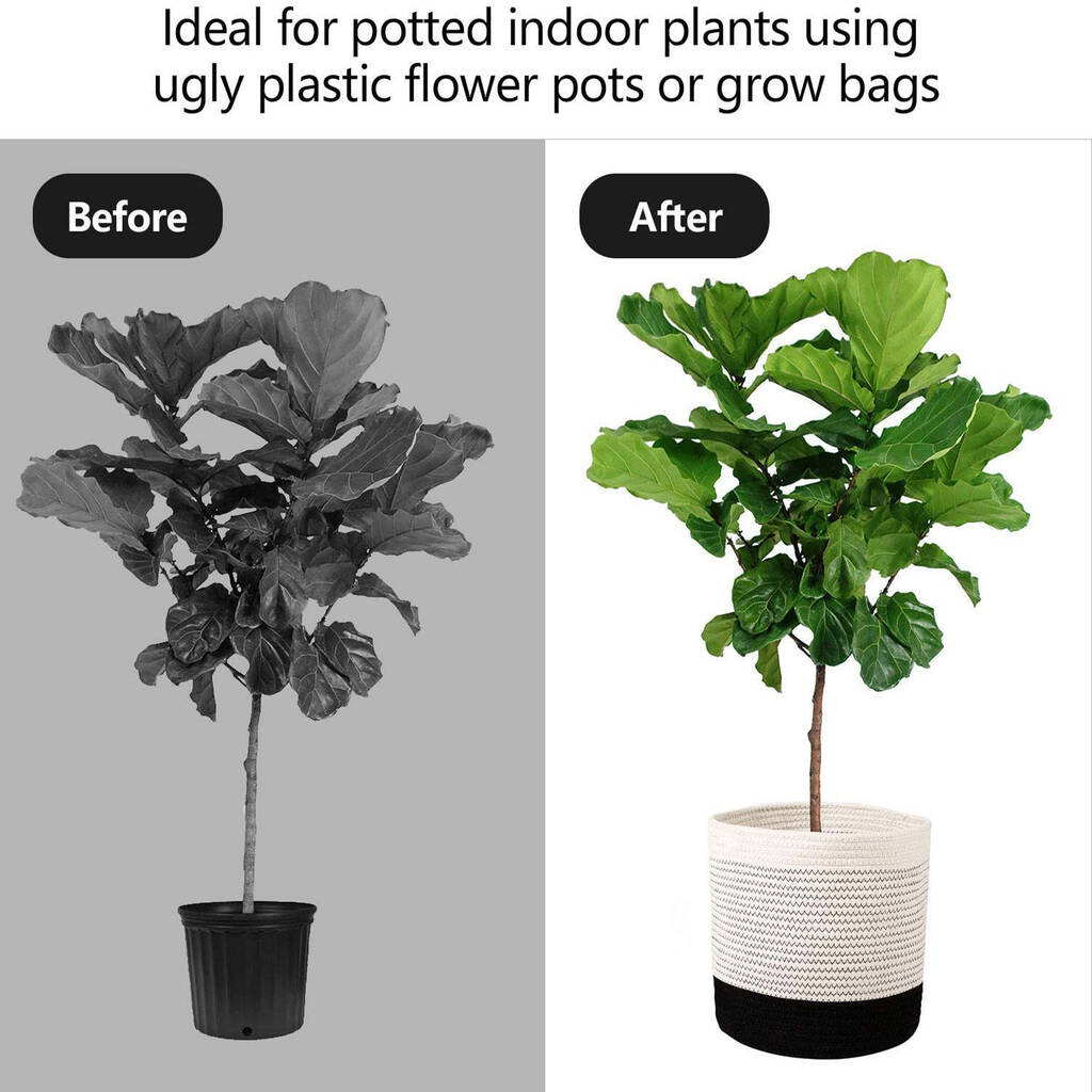 Cotton Rope Indoor Planter Basket Black And White By Momentum