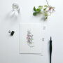 Cottage Garden Flowers Hand Illustrated Postcard Set, thumbnail 6 of 7