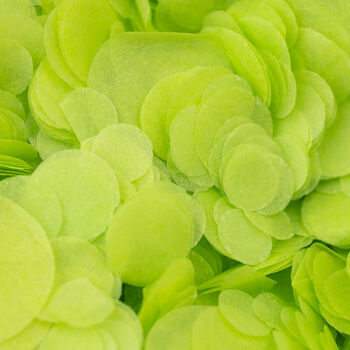 Lime Green Wedding Confetti | Biodegradable Confetti, 2 of 6